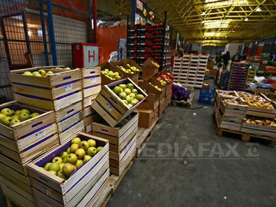 Rusia acuză Republica Moldova că folosește documente false pentru a încălca embargoul asupra fructelor