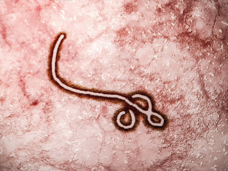 Cifrele din spatele Ebola: costul economic al fricii de virusul care a ucis 4.400 de oameni