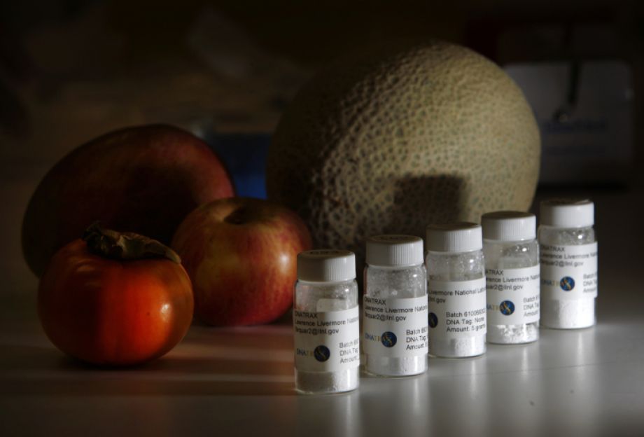 Idei de afaceri: detectorul genetic de mâncare contaminată