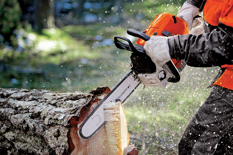 Cele mai inovatoare companii din România: Stihl a introdus programul Rabla pentru motounelte