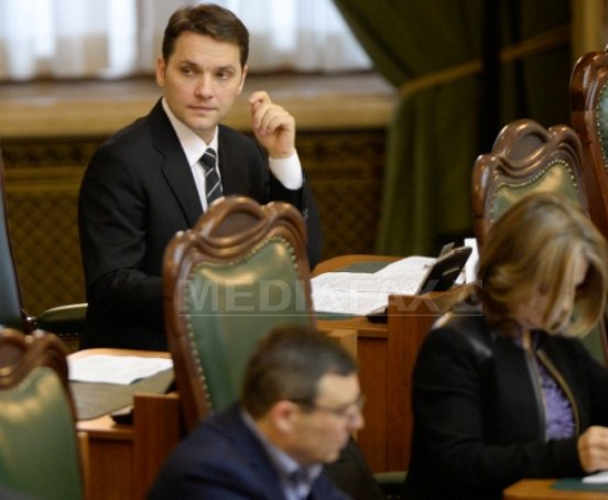 Șova: Gorghiu a reprezentat Electrica într-un contract pe care firma mea l-a câștigat pentru Turceni