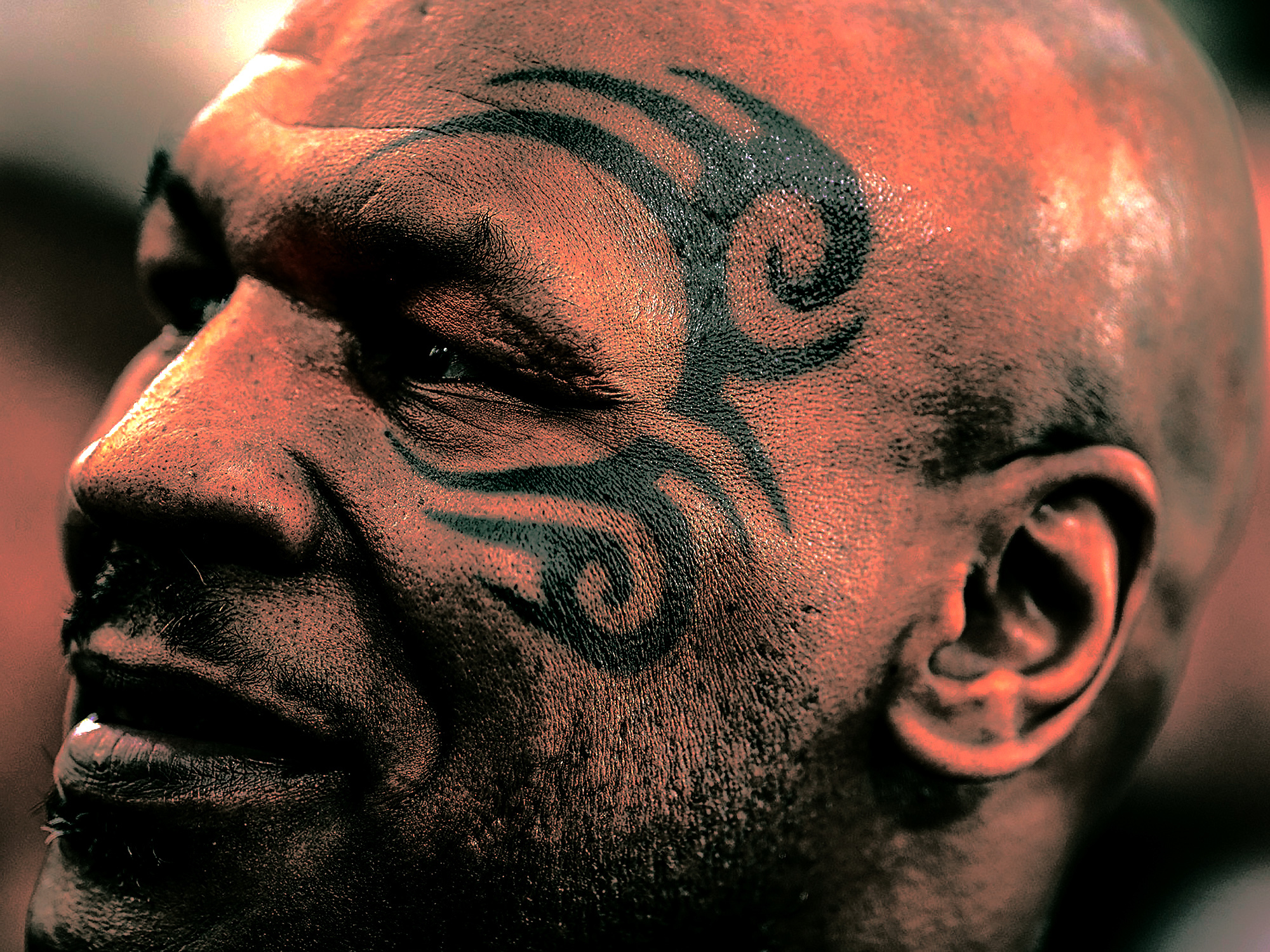 Carte: Mike Tyson,  vremea vindecării