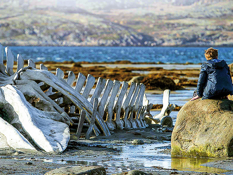Cronică de film: Leviathan confirmă imaginea unei Rusii corupte în care Moscova controlează totul