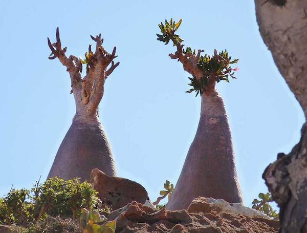 Locul de pe Terra care arată ca cele de pe alte planete (GALERIE FOTO)