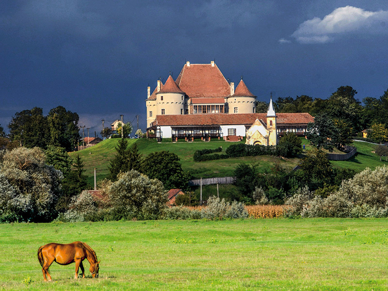 După 26 de ani, un antreprenor român lasă afacerea fiicelor sale. Pe lângă business, ele vor primi cadou și câte un castel