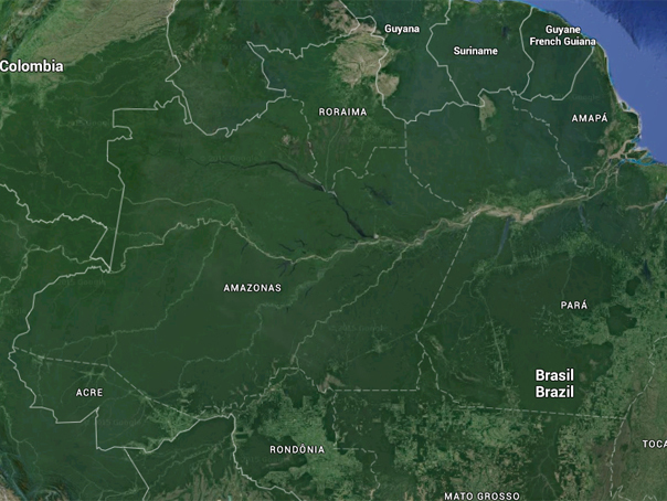 A fost descoperită o nouă civilizație! Rolul Google în descoperirea unor structuri ascunse de 1.800 de ani