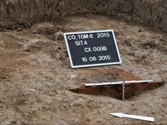 Lucrau în apropiere de Târgu Mureș, când au făcut descoperirea vieții lor. Oamenii de știință cercetează acum zona
