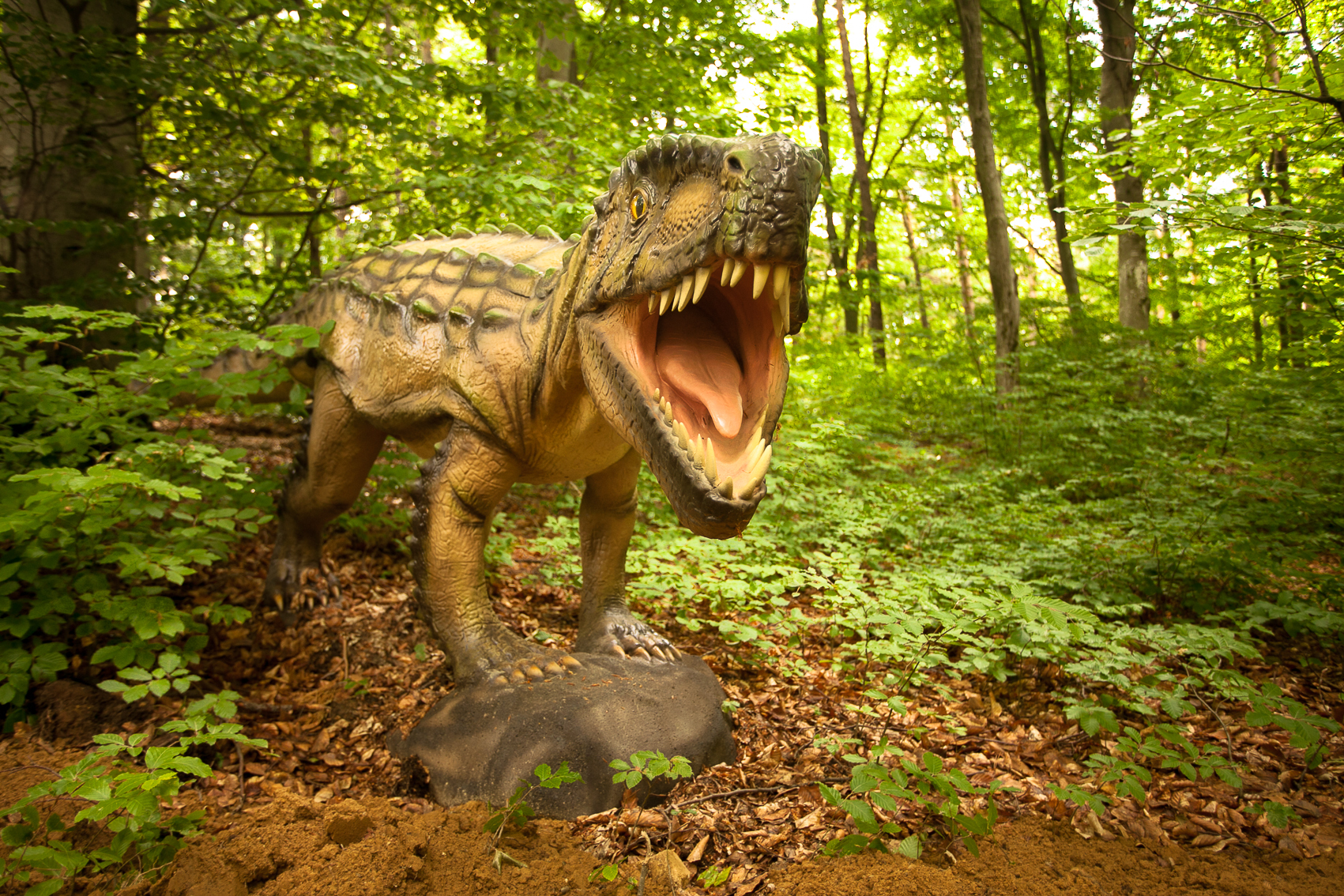 Dinozauri în România, la Râșnov GALERIE FOTO
