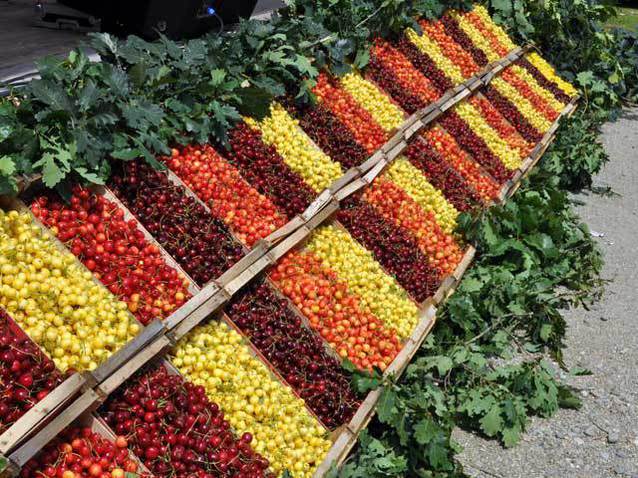 România ar putea lua fața Germaniei. AMENINȚAREA lobby-știlor nemți