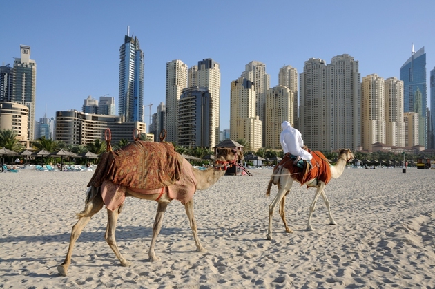 La început, ștergea mesele, însă i-a venit o idee pentru care șeicii din Abu Dhabi sunt dispuși acum să plătească sume generoase