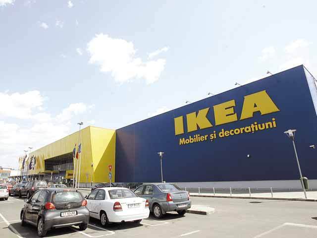 MOTIVUL pentru care IKEA și Apple cumpără suprafețe masive de păduri, inclusiv în România