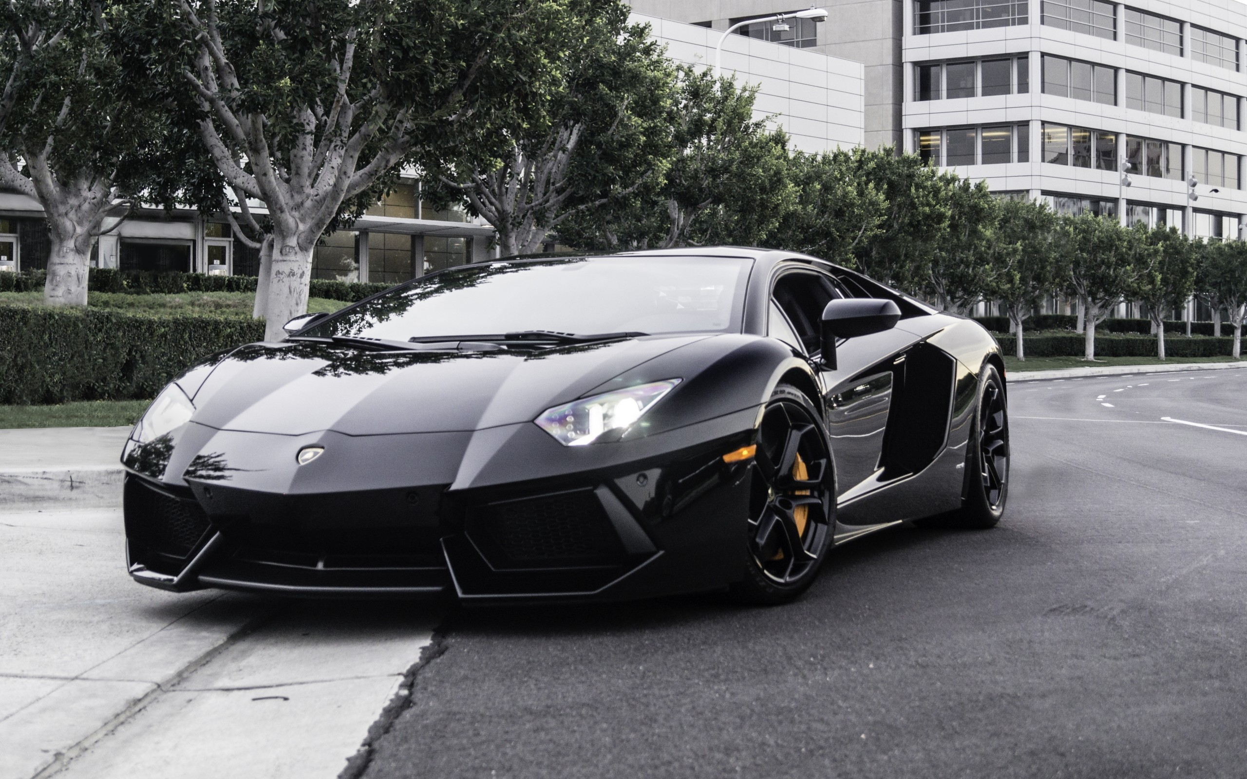 Când au oprit acest Lamborghini în trafic, polițiștii nu și-au închipuit ce va urma. Ce s-a întâmplat când șoferul a deschis portiera