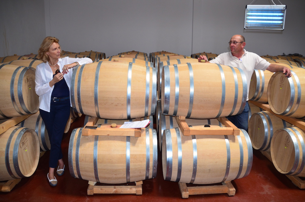 Producătorul de vinuri S.E.R.V.E. România a înregistrat anul acesta creșteri ale afacerii de 11%