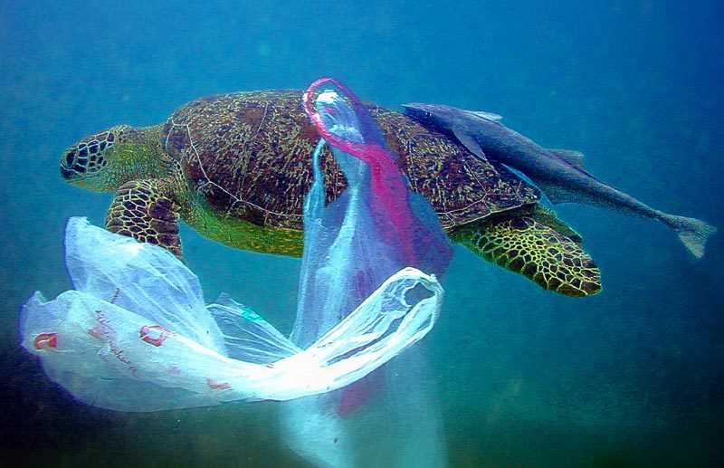 Peste câțiva ani în oceanul planetar va fi mai mult plastic decât pești - raport Davos - FOTO, VIDEO
