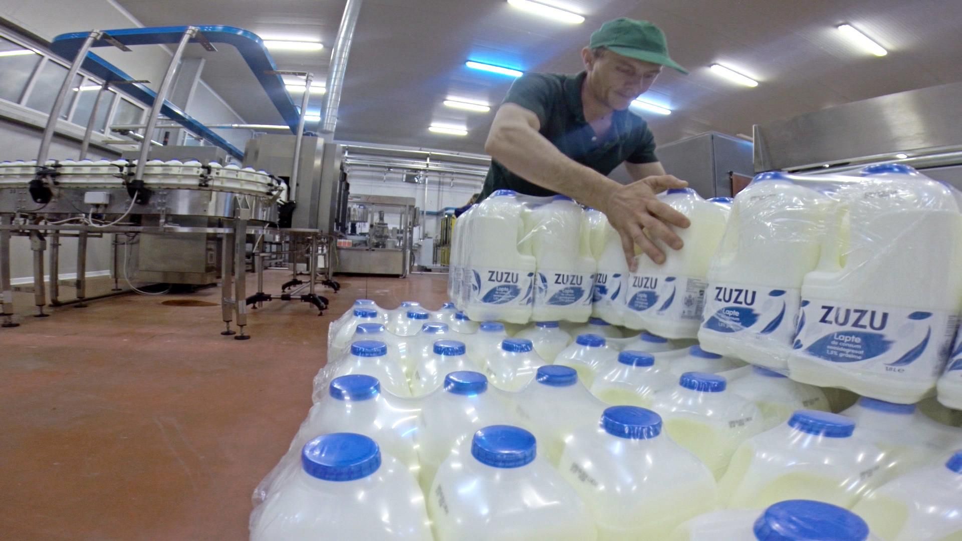 Cel mai mare producător român de lactate se vinde gigantului francez Lactalis, într-o tranzacție șoc la începutul anului