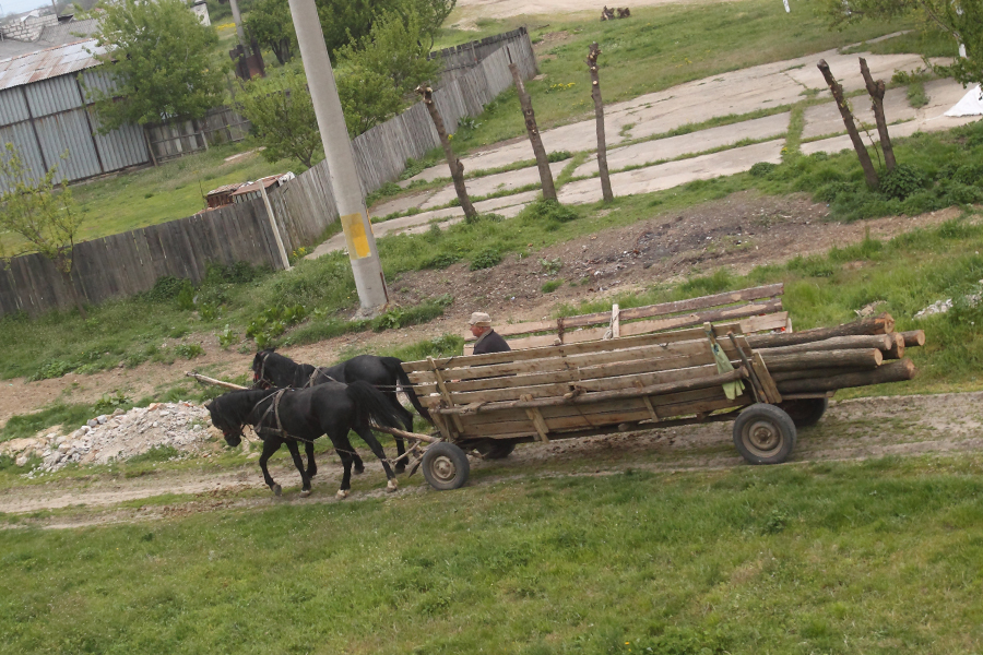 Orașele din România care vor să redevină comune. Transport cu caruța, apă nepotabilă, dar taxe la nivel de metropolă