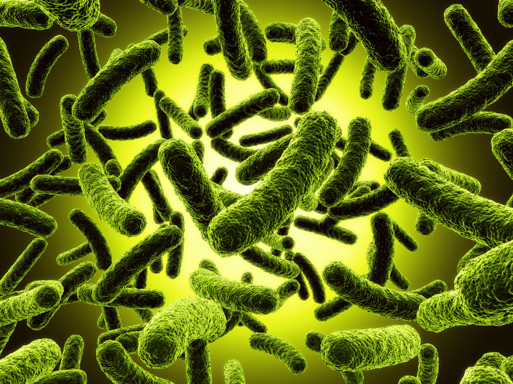România, țara tuturor bacteriilor. Cum ajuns să avem bebeluși internați în spitale din cauza unor infecții
