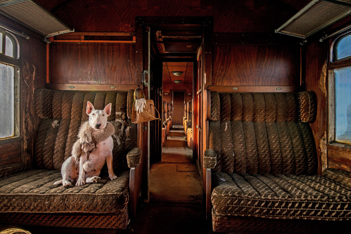 Câștigătorii celei de-a 13-a ediții a concursului anual de fotografie Smithsonian