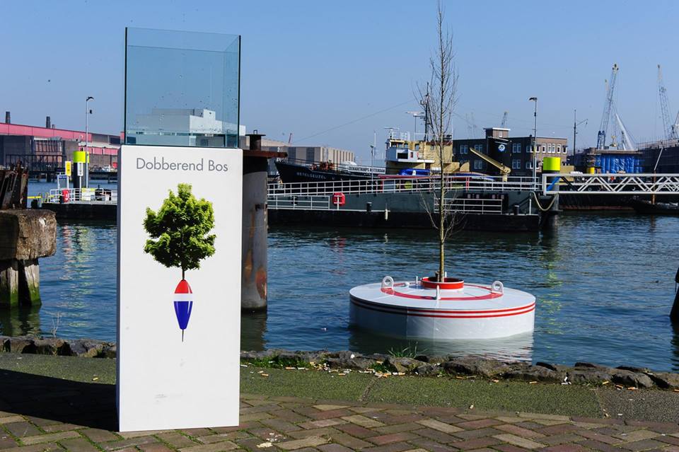 Prima "pădure plutitoare" a fost plantată în apele portului din Rotterdam
