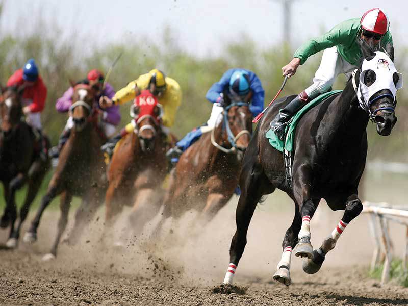 Un galop prin lumea sporturilor ecvestre, a oligarhilor putred de bogați și a banilor murdari