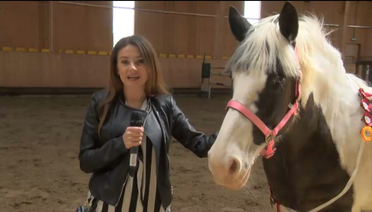 Reportaj Business Magazin: Cum te pot ajuta caii să devii un lider mai bun - VIDEO