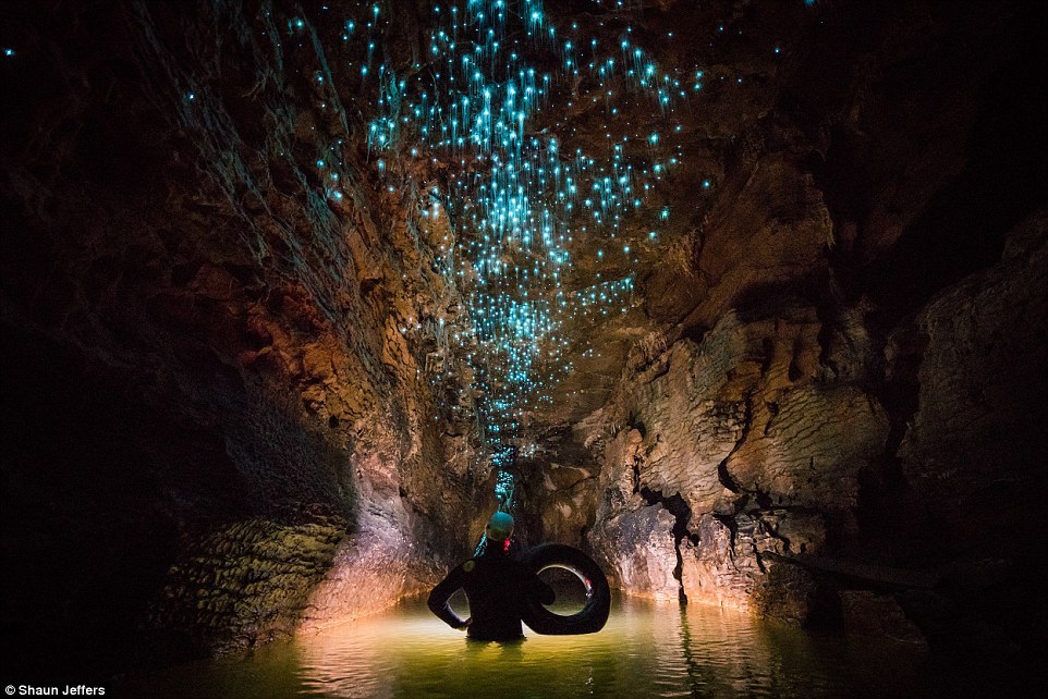 Imagini fantastice cu insectele care luminează peșteri: "Mă simțeam de parcă aș fi pe Pandora" - GALERIE FOTO