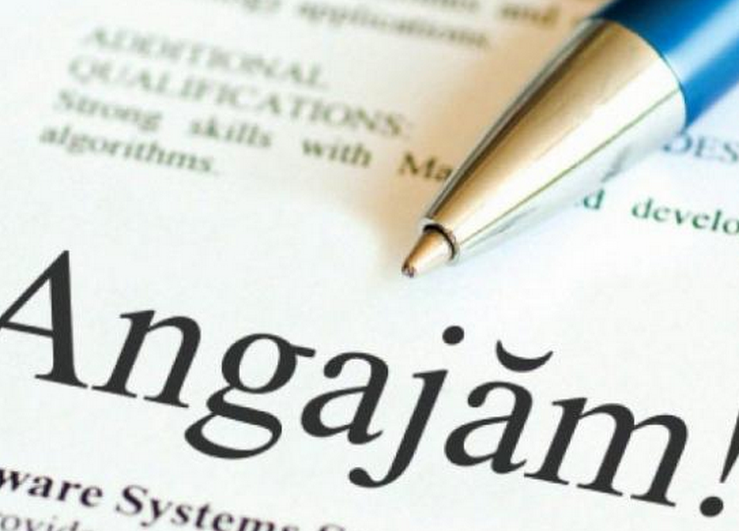 418 locuri de muncă vacante în Europa
