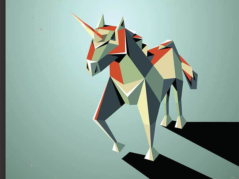 În căutarea unicornului: va ajunge o companie românească să se bată de la egal la egal cu Uber?