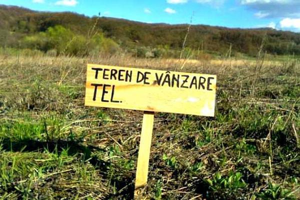 Strigătul de disperare al fermierilor: 70% din suprafața arabilă a țării ar putea ajunge pe mâinile străinilor până în 2020!