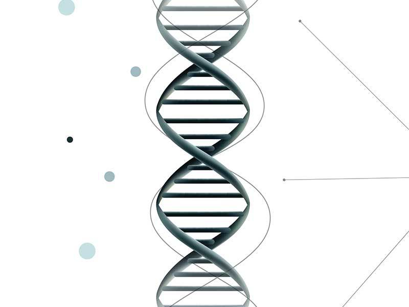 Promisiunile biotehnologiei