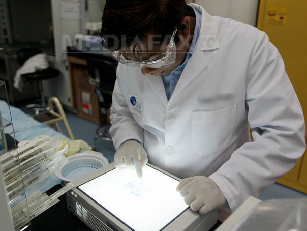 Primii neuroni artificiali care funcționează după modelul biologic, creați de IBM