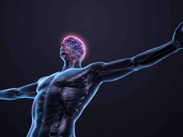 10 organe de care nu mai avem nevoie