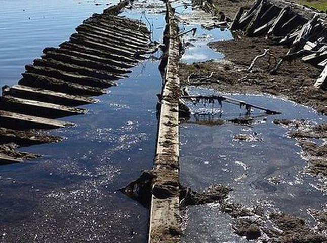 Exploratorii ruși au făcut ''descoperirea anului'' într-o mlaștină