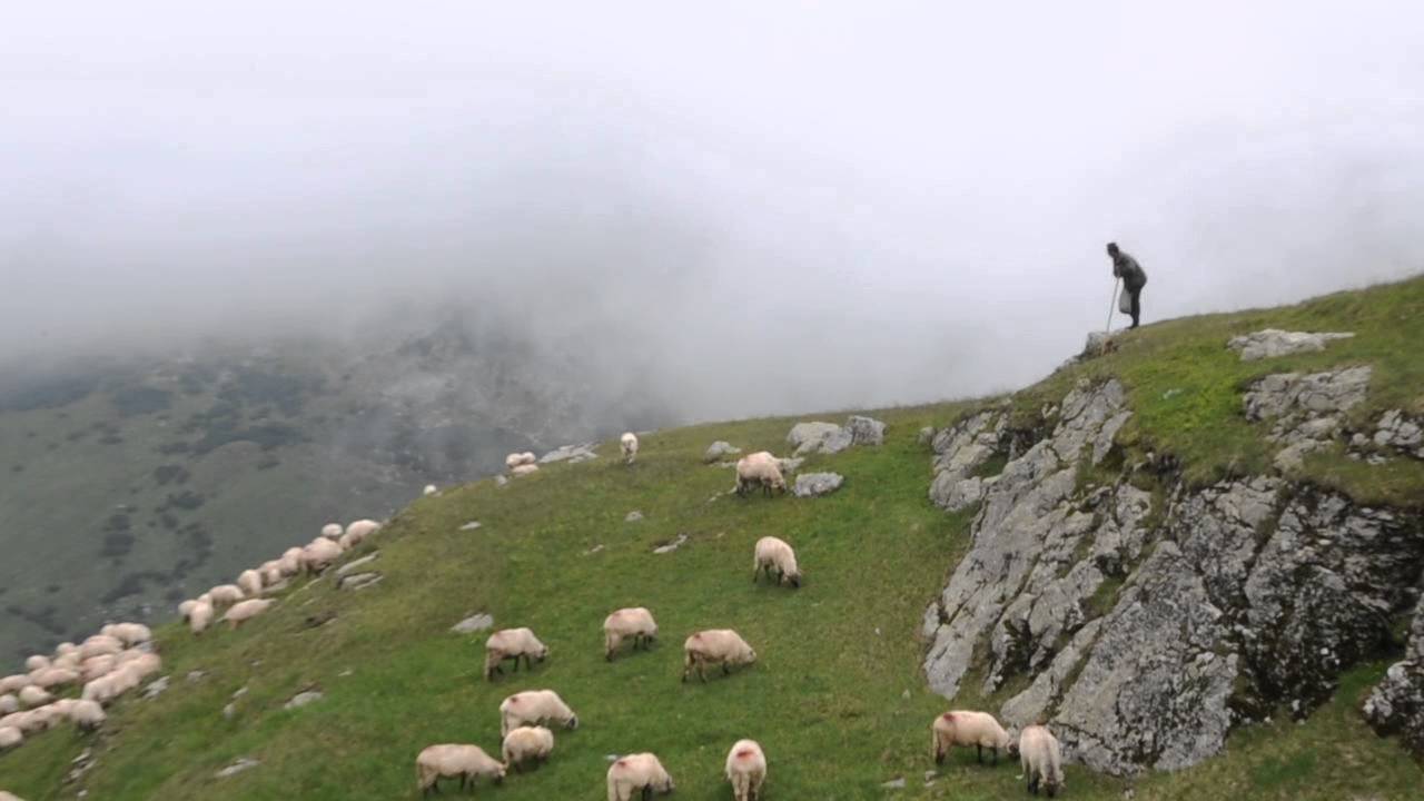 Un popor care vinde materie primă este condamnat să dispară!Nu mai știm să vindem brânză, carne, lână! Nu mai știm cum ne cheamă!