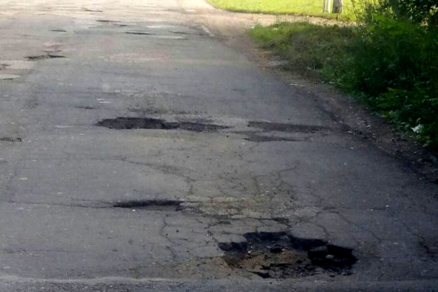 Protest inedit al unui om de afaceri. A plantat pomi în gropile din asfalt - FOTO