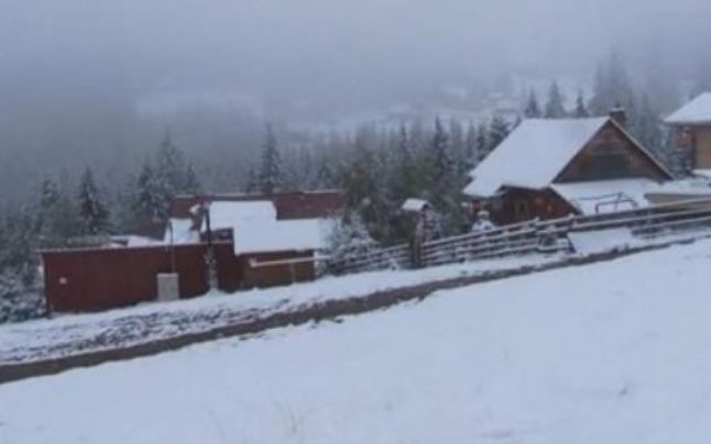 Cod galben de vânt puternic și ninsori pentru 4 județe