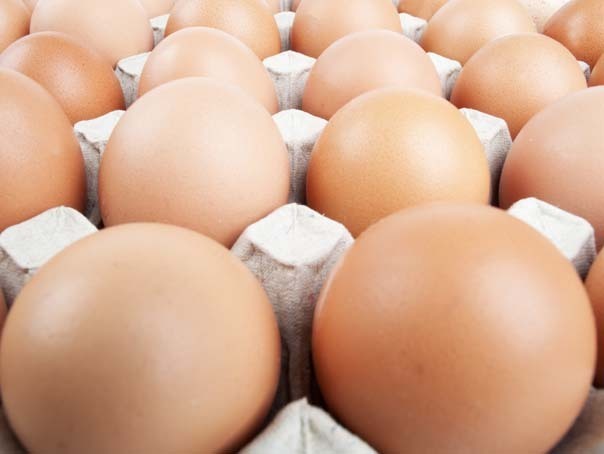 Producătorii de ouă din România riscă falimentul din cauza importurilor din Polonia