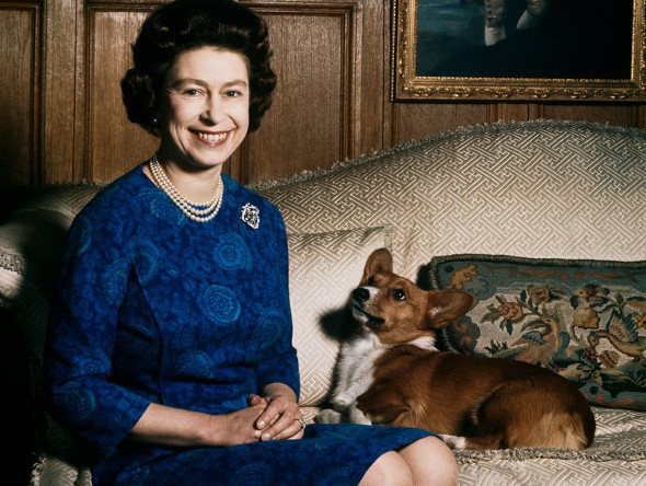 Viața minunată a cațeilor corgi ai reginei Elisabeta a II-a, serviți de un valet in vase de argint  - GALERIE FOTO - VIDEO