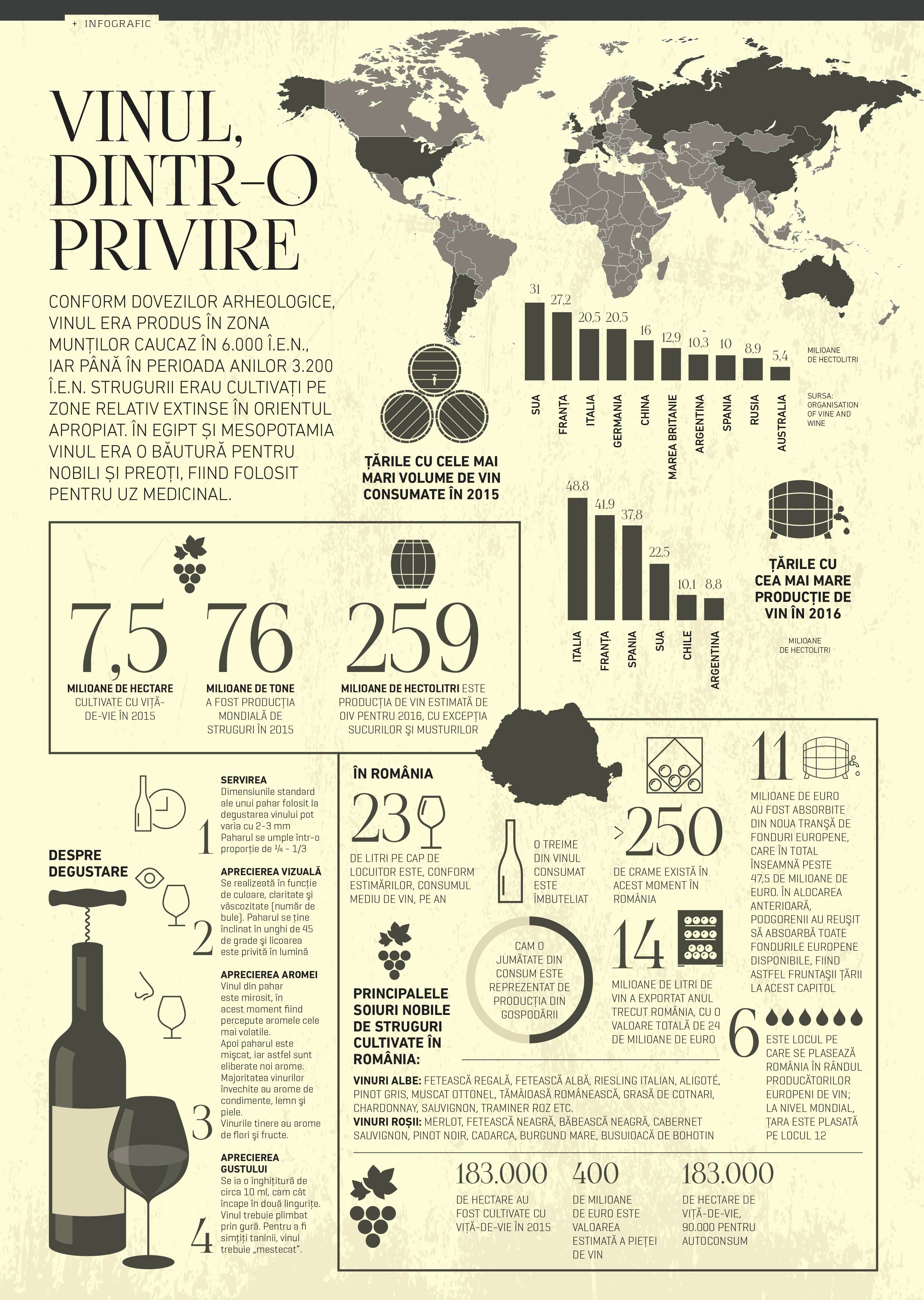 Vinul, dintr-o privire