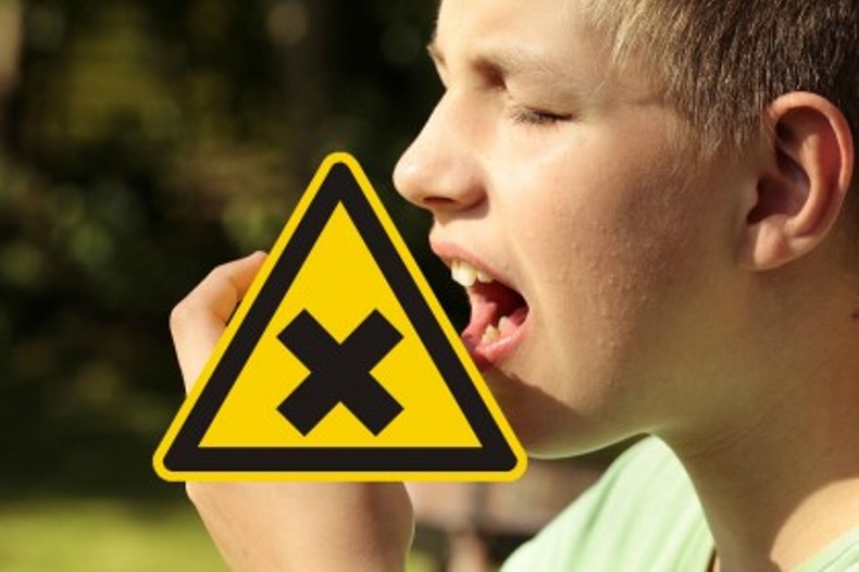 Alimentul care ucide milioane de oameni în fiecare an. Îl consumi zilnic, dar nu îți dai seama cât  rău poate să îți facă