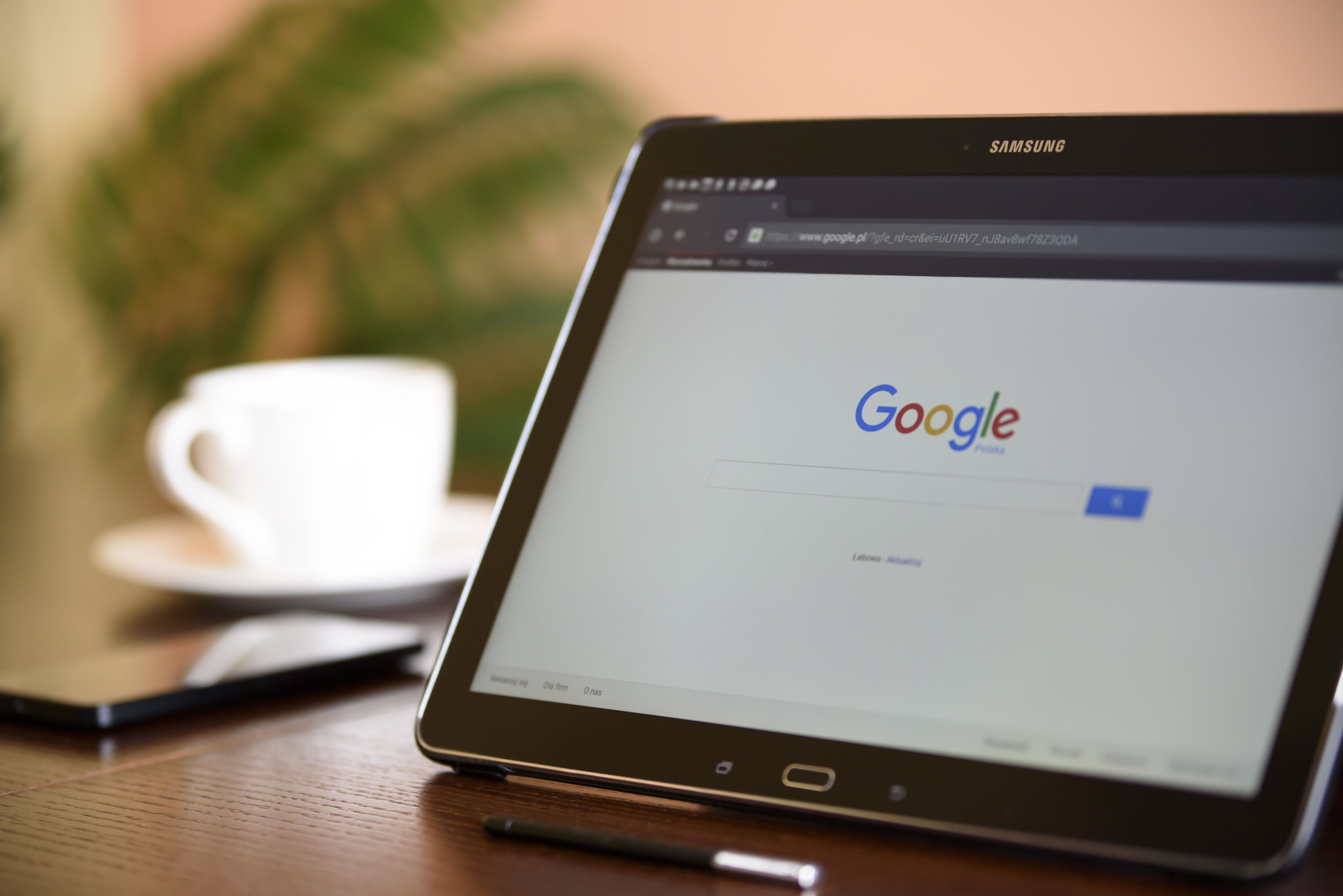 Ce au căutat românii pe Google? Rețetă "cocovan", mămăligă pentru pește sau cum se manifestă hernia de disc