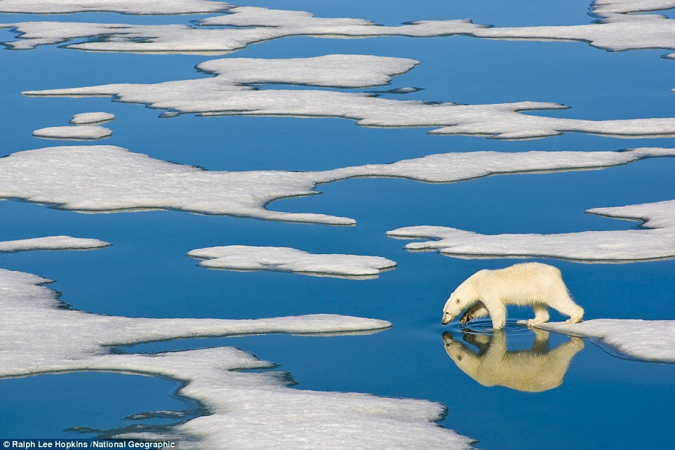Cele mai impresionante fotografii din noua carte lansată de National Geographic - FOTO