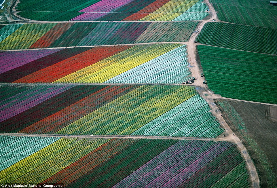 Cele mai impresionante fotografii din noua carte lansată de National Geographic - FOTO