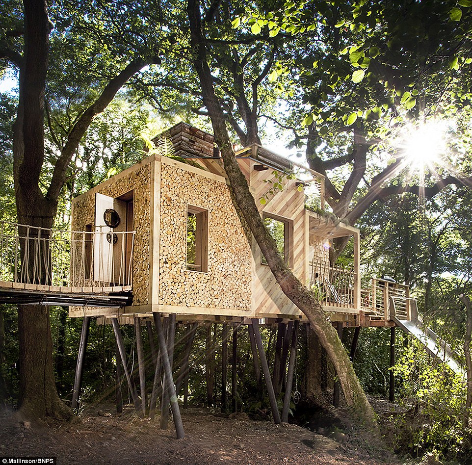 „Tarzan ar fi invidios". A fost creată cea mai luxoasă căsuță din copac - GALERIE FOTO