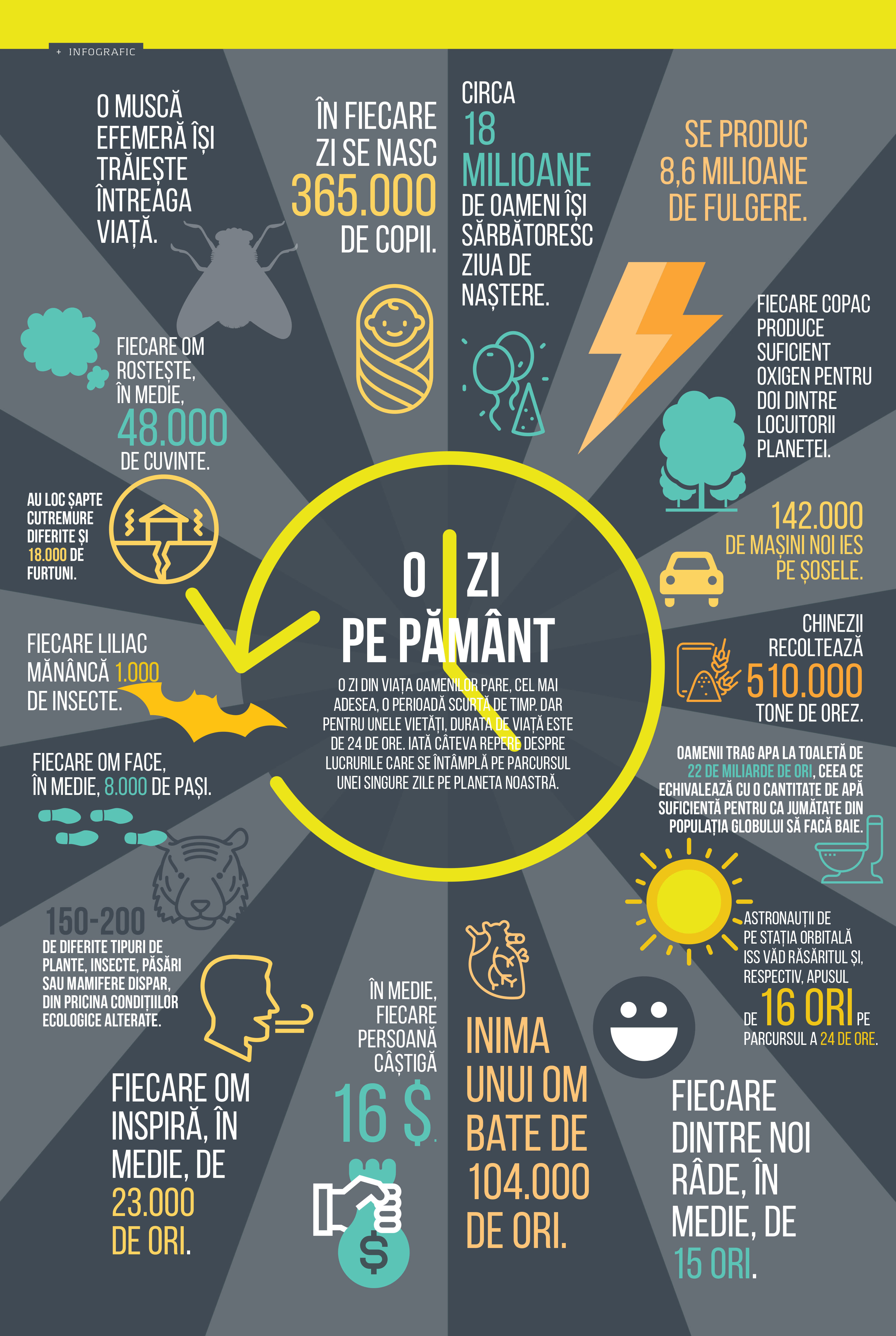 Ce se întâmplă într-o zi pe Pământ