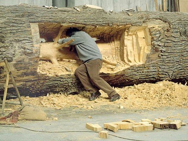 Un artist italian a eliminat inele de creștere ale unui copac și a dezvăluit o adevărată frumusețe