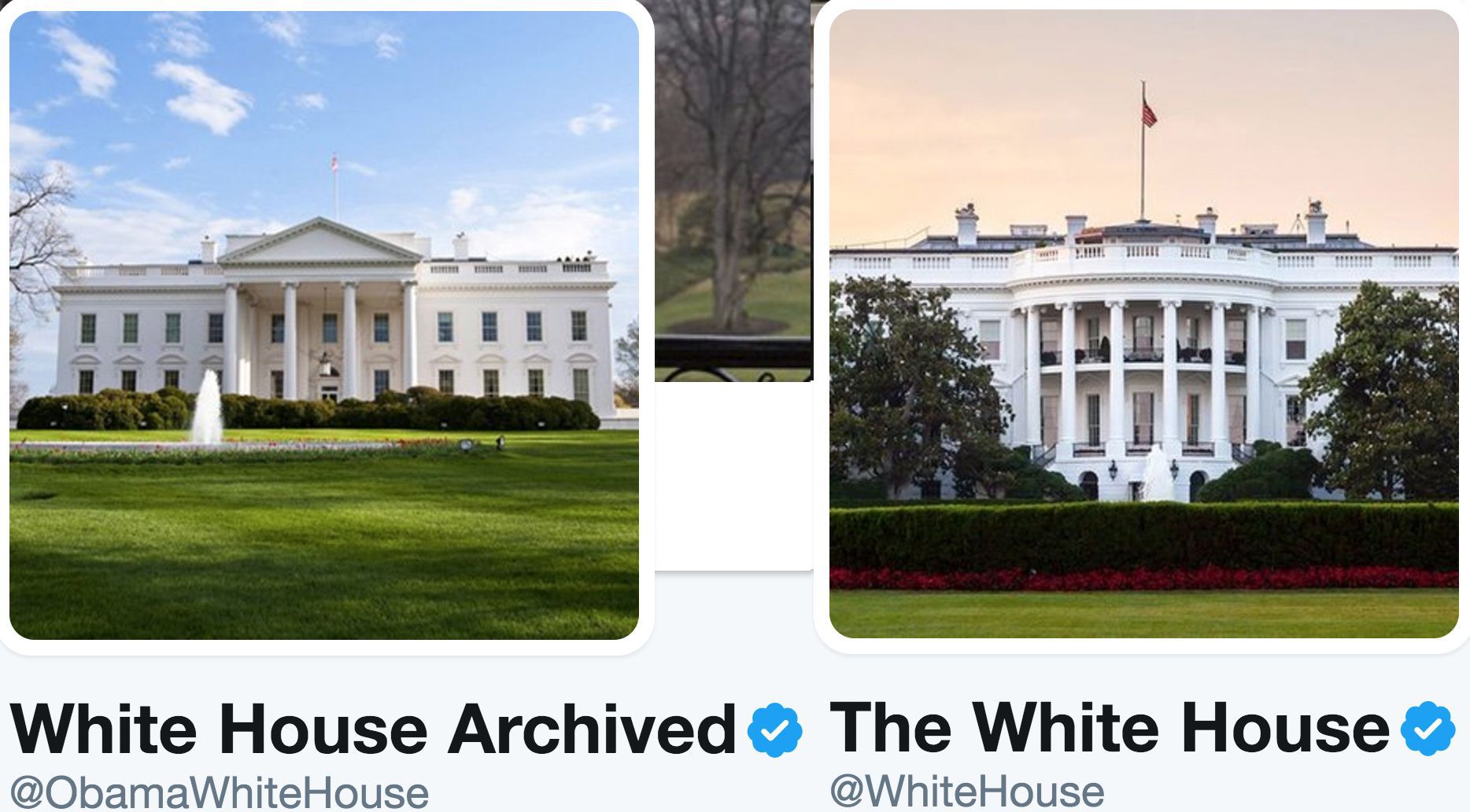 Detaliul incredibil din această fotografie demonstrează diferențele dintre Obama și Trump