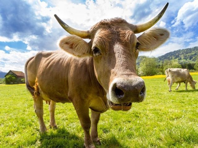 11 MISTERE fascinante la care cercetătorii nu reușesc să ofere explicații