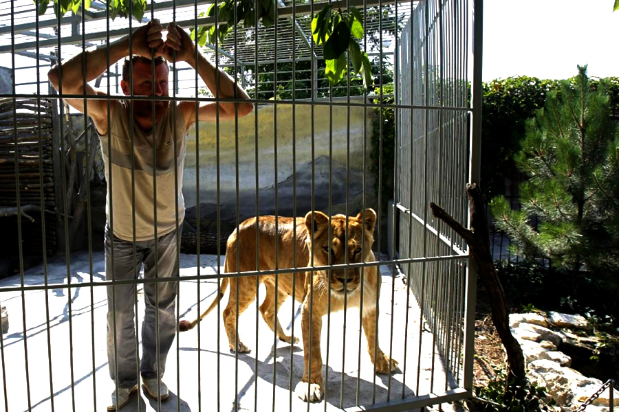 CLIPUL ZILEI: Un robot îi spune unui jurnalist că îl va ține închis într-o "grădină zoologică" pentru oameni