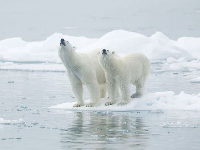 Misteriosul sunet din Antarctica îngrozește localnicii. Disperați, oamenii au cerut ajutorul armatei